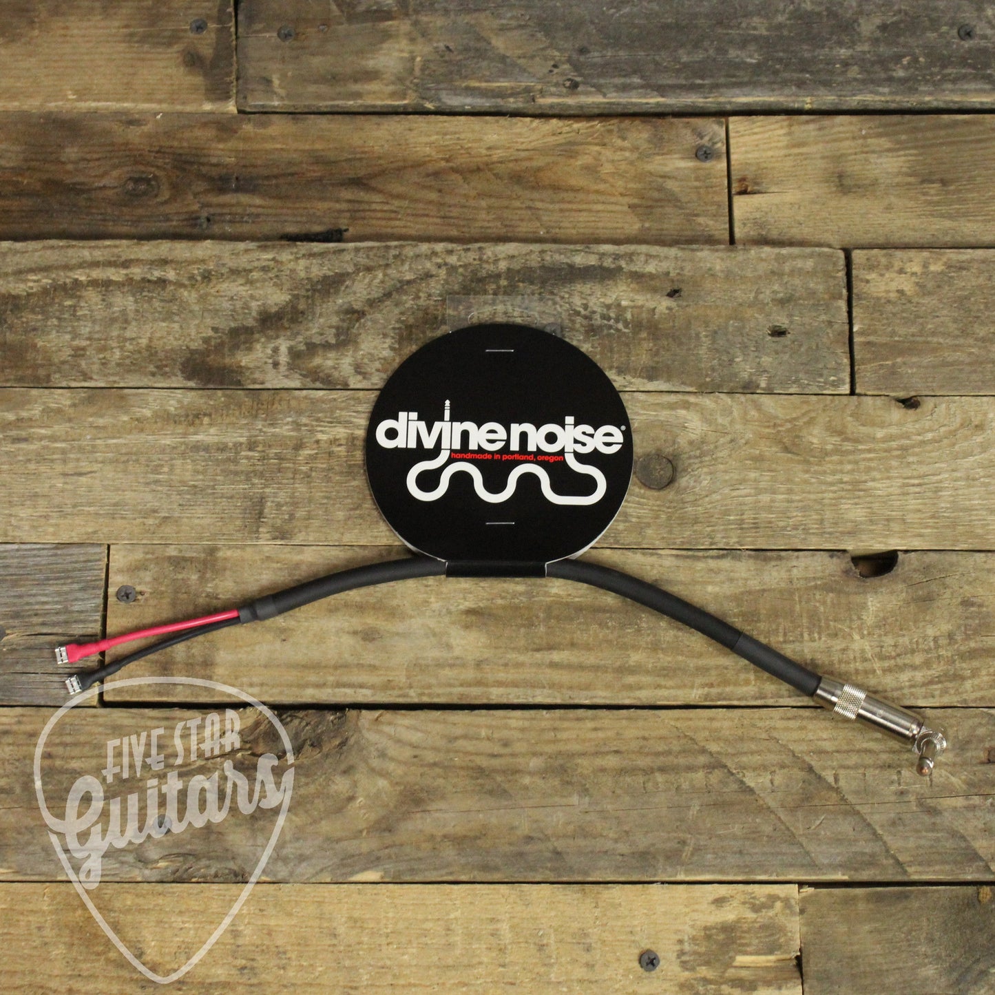 Divine Noise Combo Amp Cable - 1 Speaker