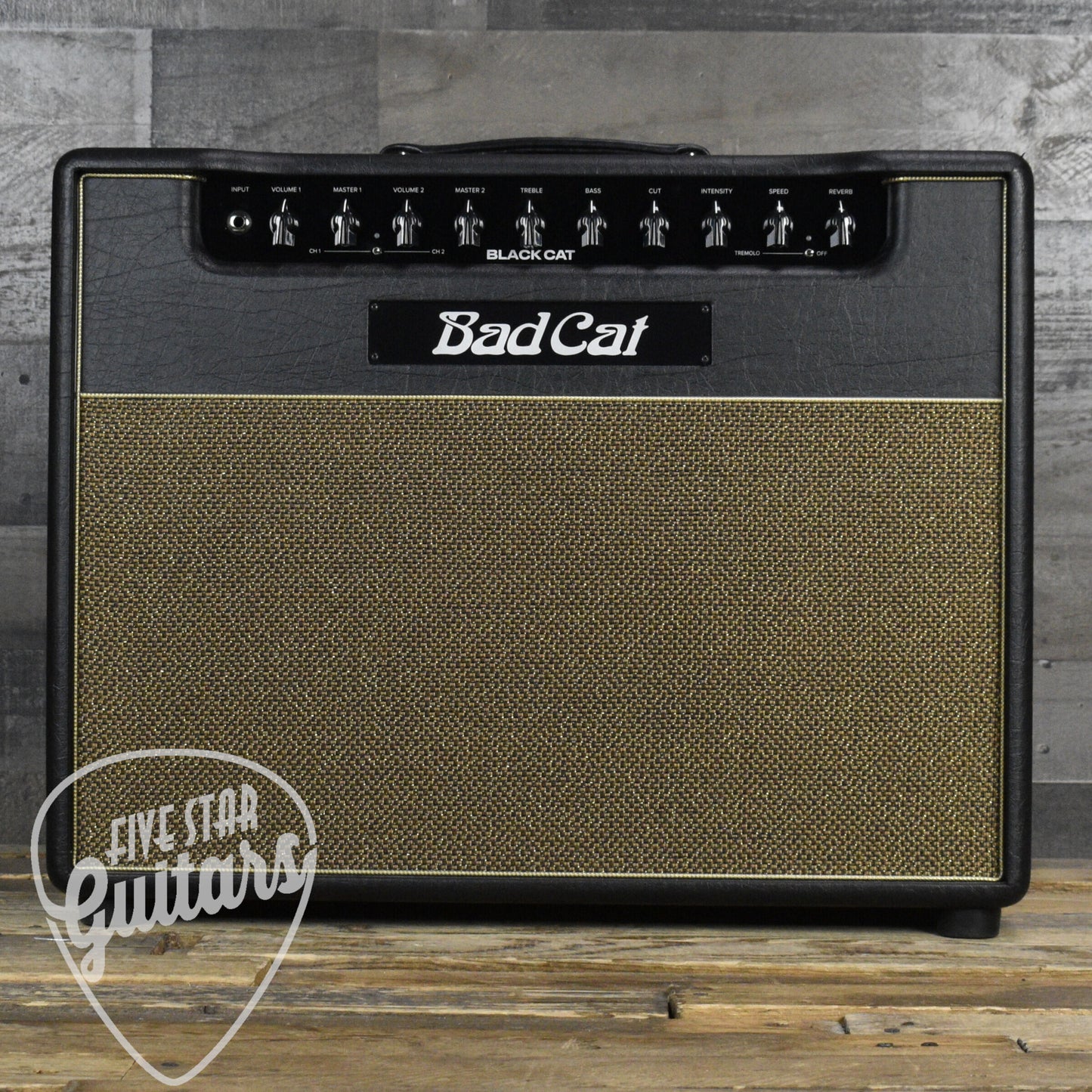 Bad Cat Black Cat 1x12 Combo