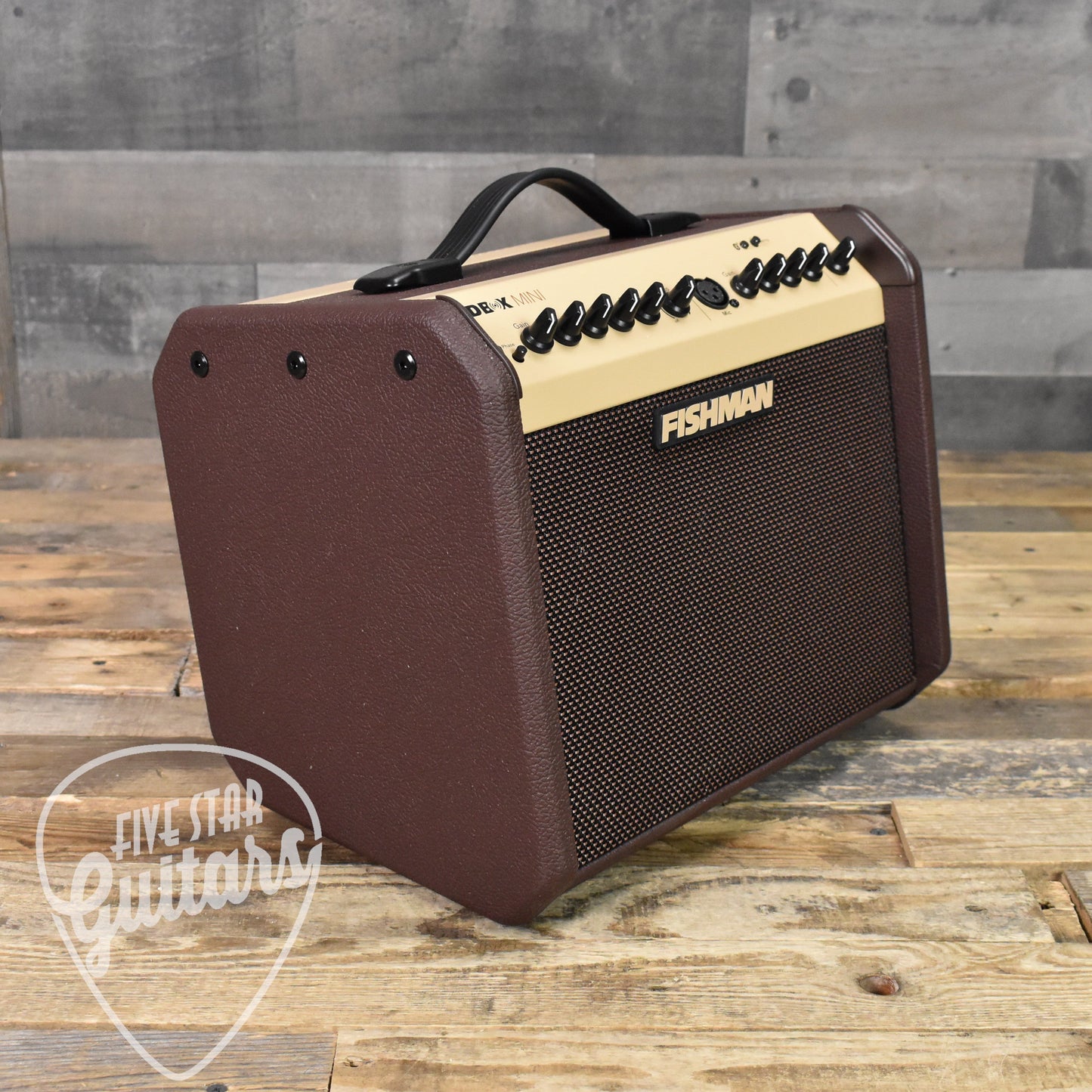 Fishman Loudbox Mini