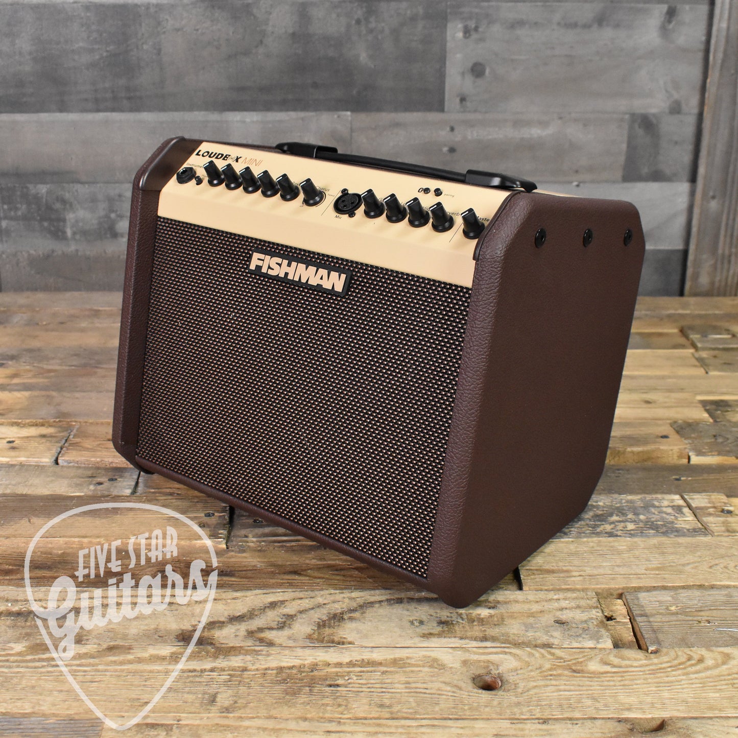 Fishman Loudbox Mini