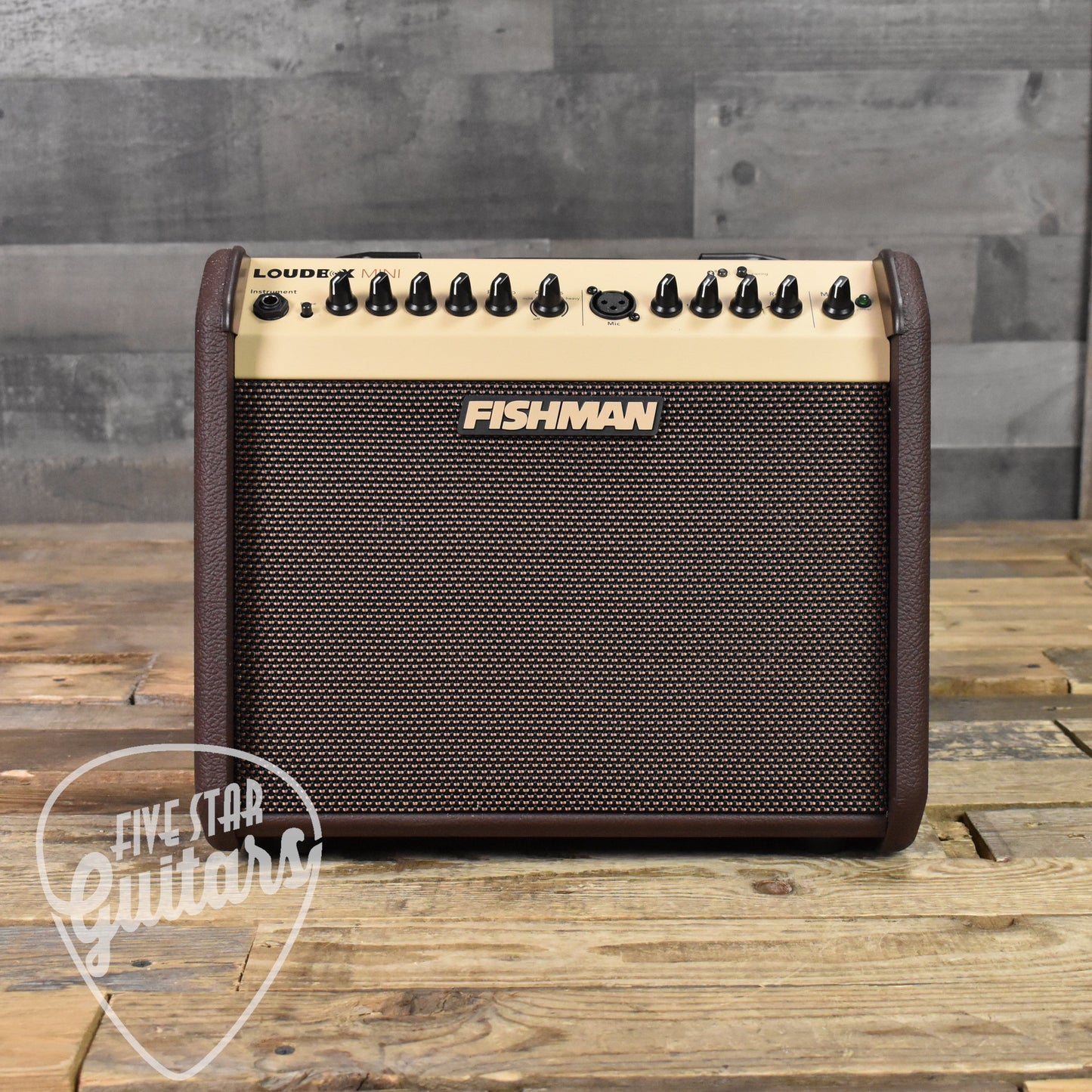 Fishman Loudbox Mini