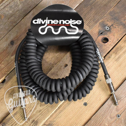 Divine Noise Straight-Straight 30ft Curly Instrument Cable - Black