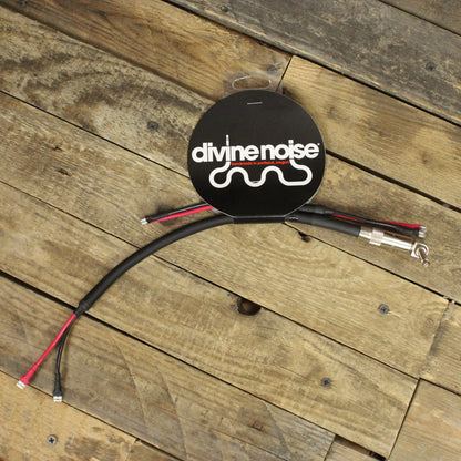 Divine Noise Combo Amp Cable - 2 Speaker