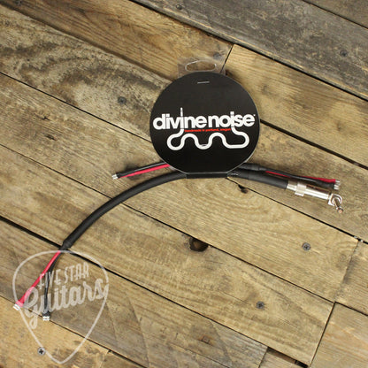 Divine Noise Combo Amp Cable - 2 Speaker