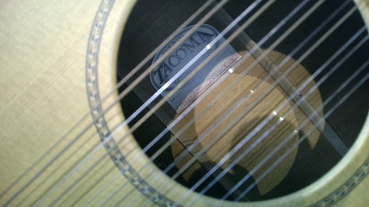 Pre-Owned Taylor 314ce w/OHSC and Tonewood Amplifier