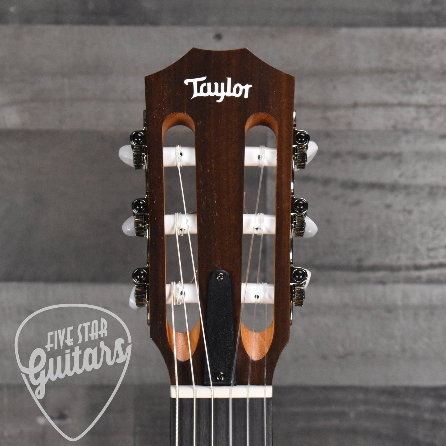 Taylor Academy 12e-N with Gig Bag