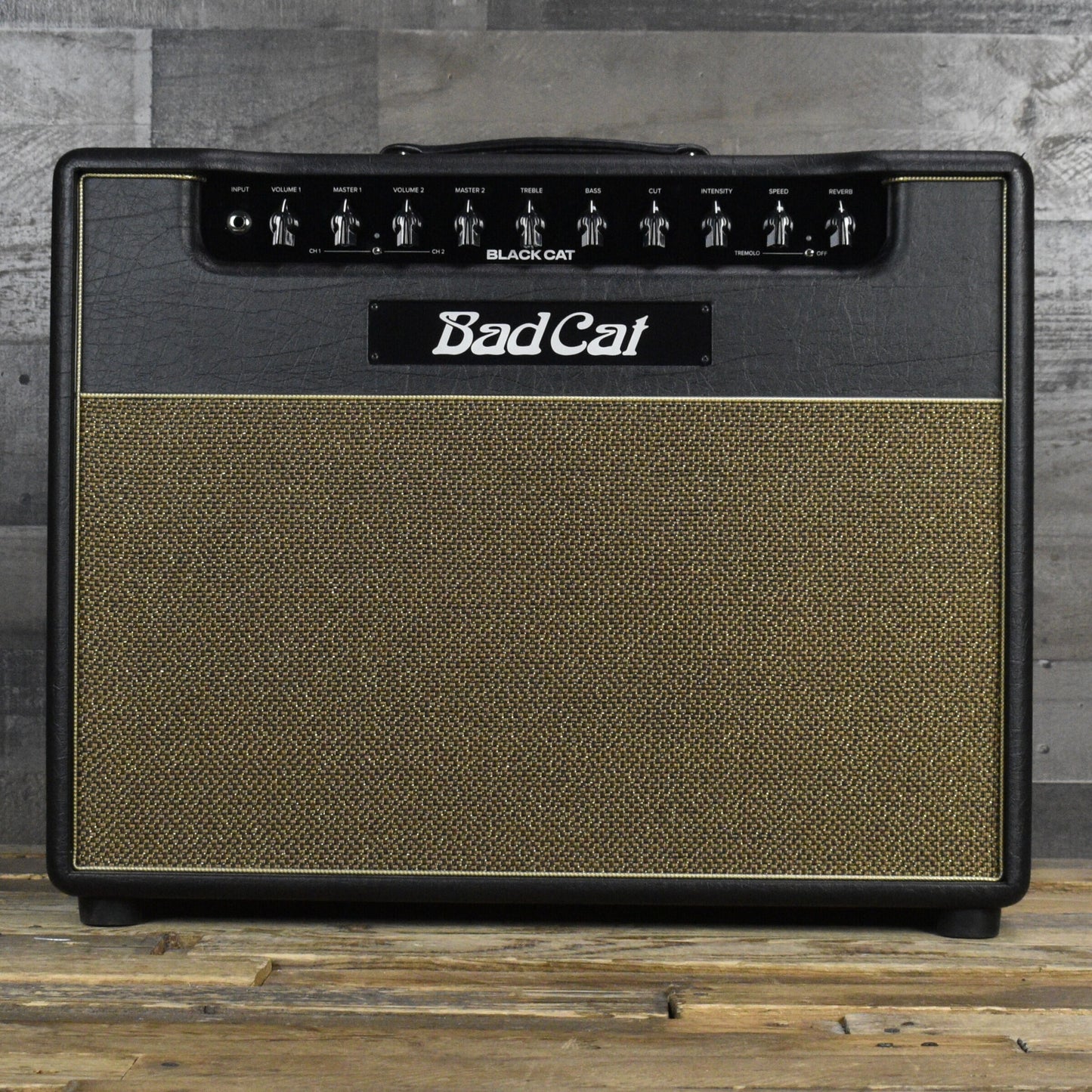 Bad Cat Black Cat 1x12 Combo
