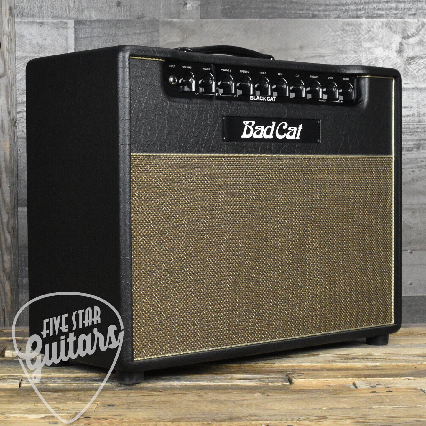 Bad Cat Black Cat 1x12 Combo