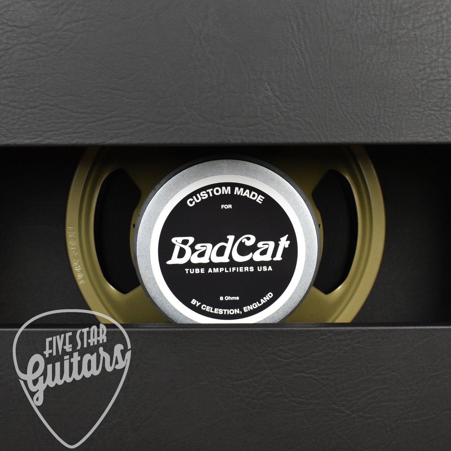 Bad Cat Handwired Era 30 112 Extention Cab, 8 ohm, Bad Cat Custom Celestion V30 Speaker