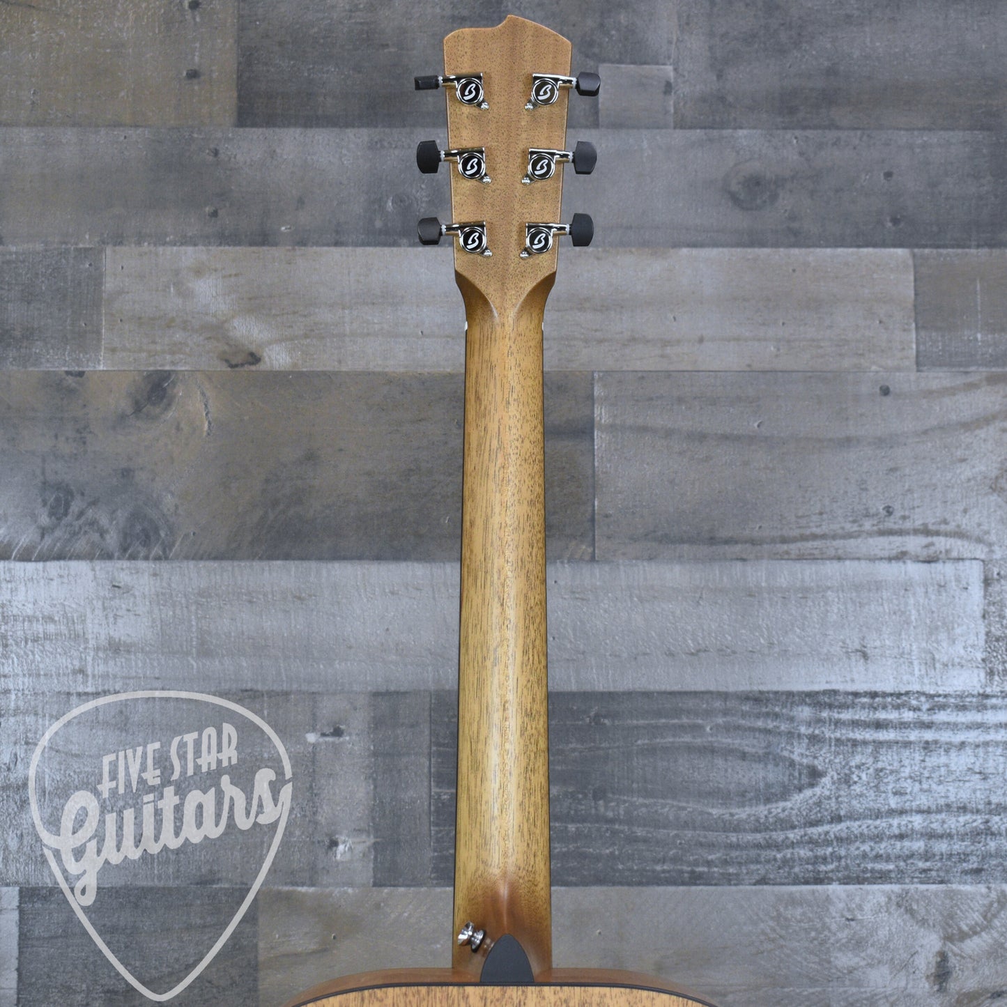 Breedlove Roots Dreadnought SMe - Edgeburst with Hardshell Case