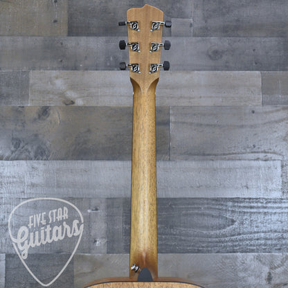 Breedlove Roots Dreadnought SMe - Edgeburst with Hardshell Case