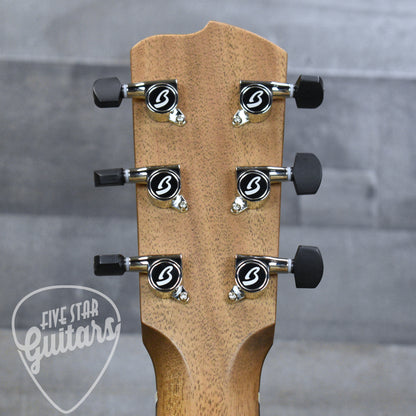 Breedlove Roots Dreadnought SMe - Edgeburst with Hardshell Case