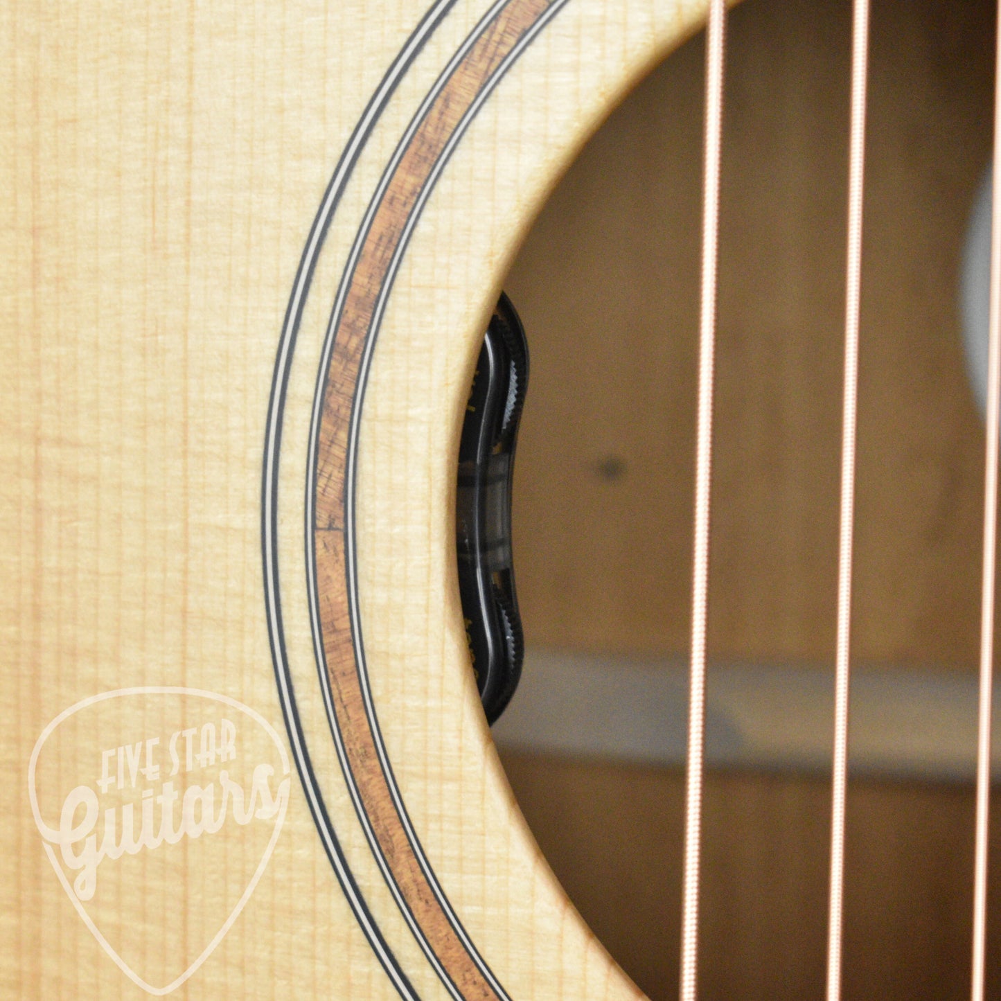 Breedlove Roots Dreadnought SMe - Edgeburst with Hardshell Case