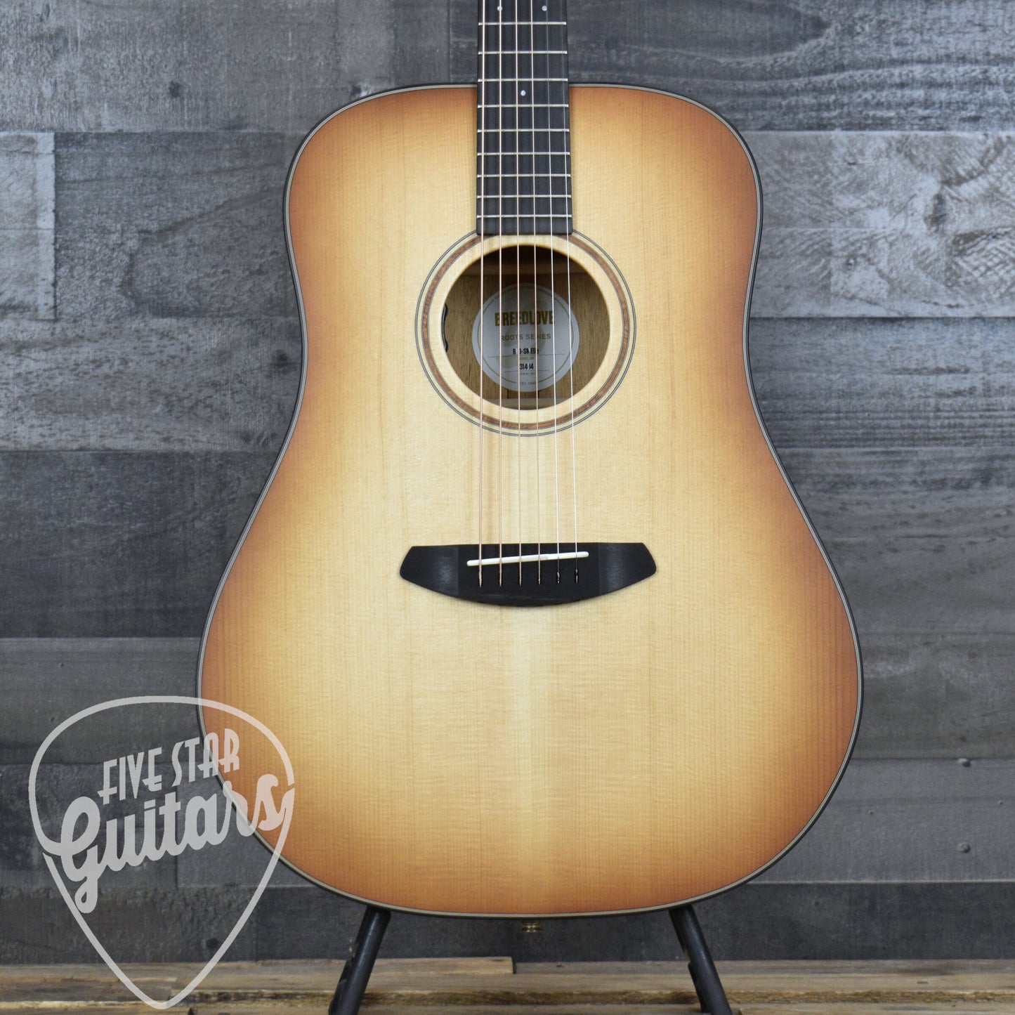 Breedlove Roots Dreadnought SMe - Edgeburst with Hardshell Case