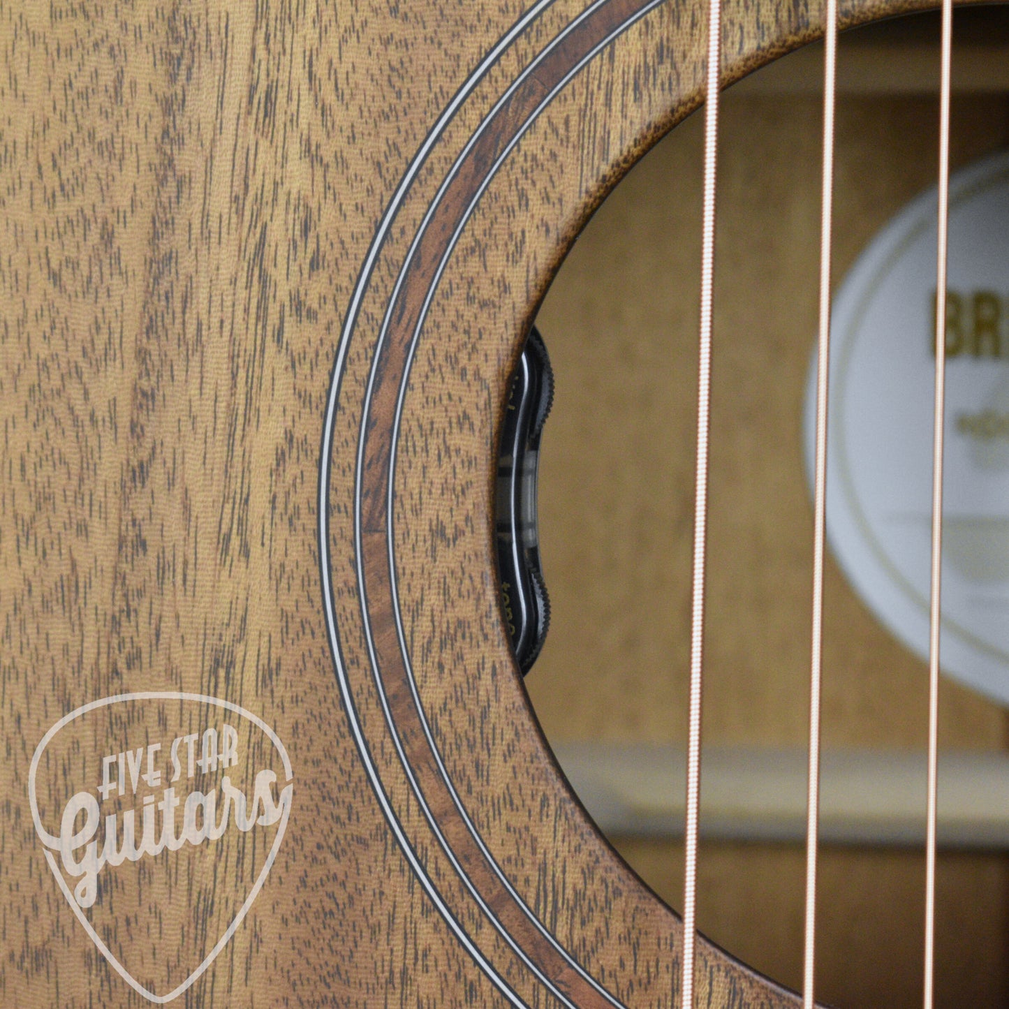 Breedlove Roots Parlor - All Mahogany with Hardshell Case
