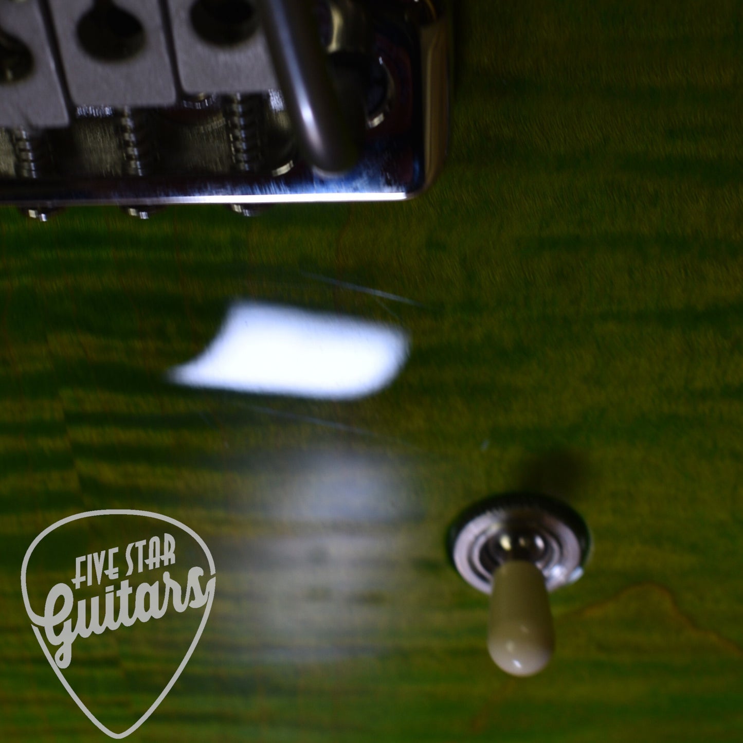 Certified Pre-Owned Paul Reed Smith CE 24 - Eriza Verde with Gig Bag