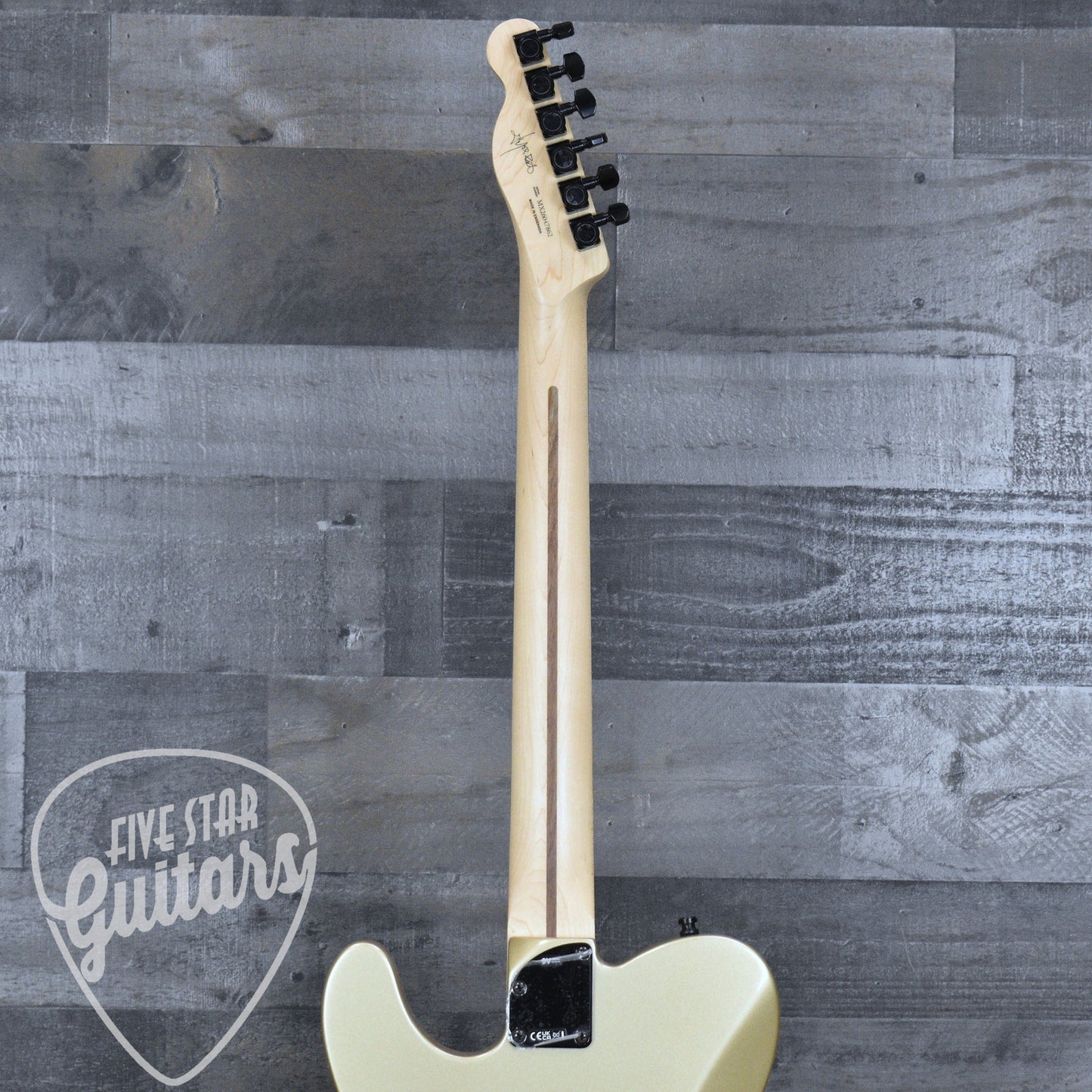 Fender Jim Root Telecaster - Shoreline Gold with Hardshell Case