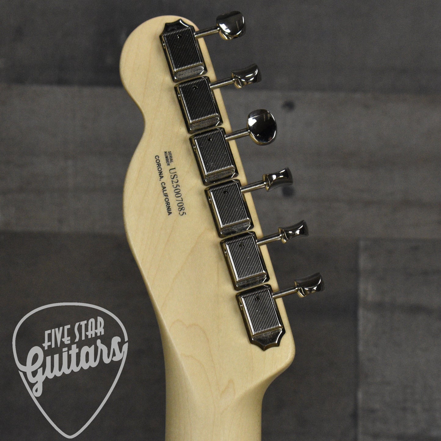 Fender American Performer Telecaster S/H - Aubergine with Gig Bag