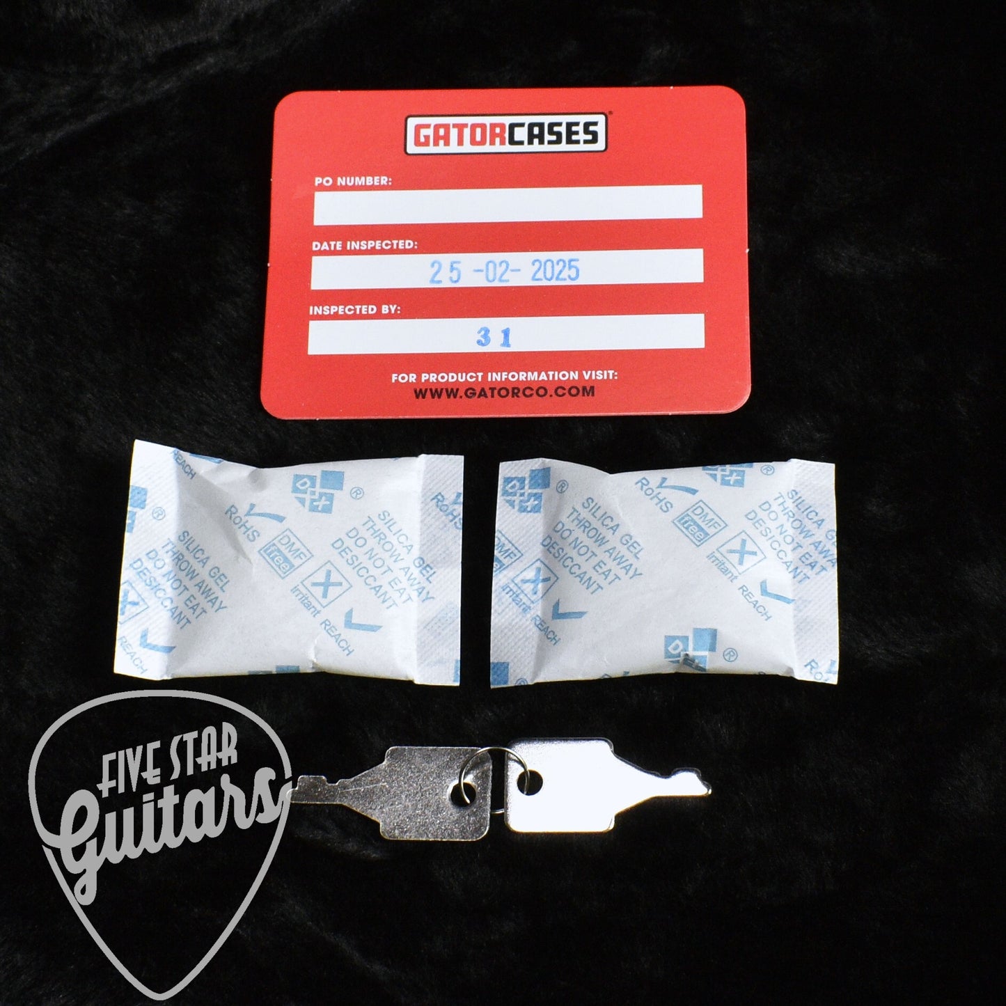 Gator Case for Taylor GS-Mini