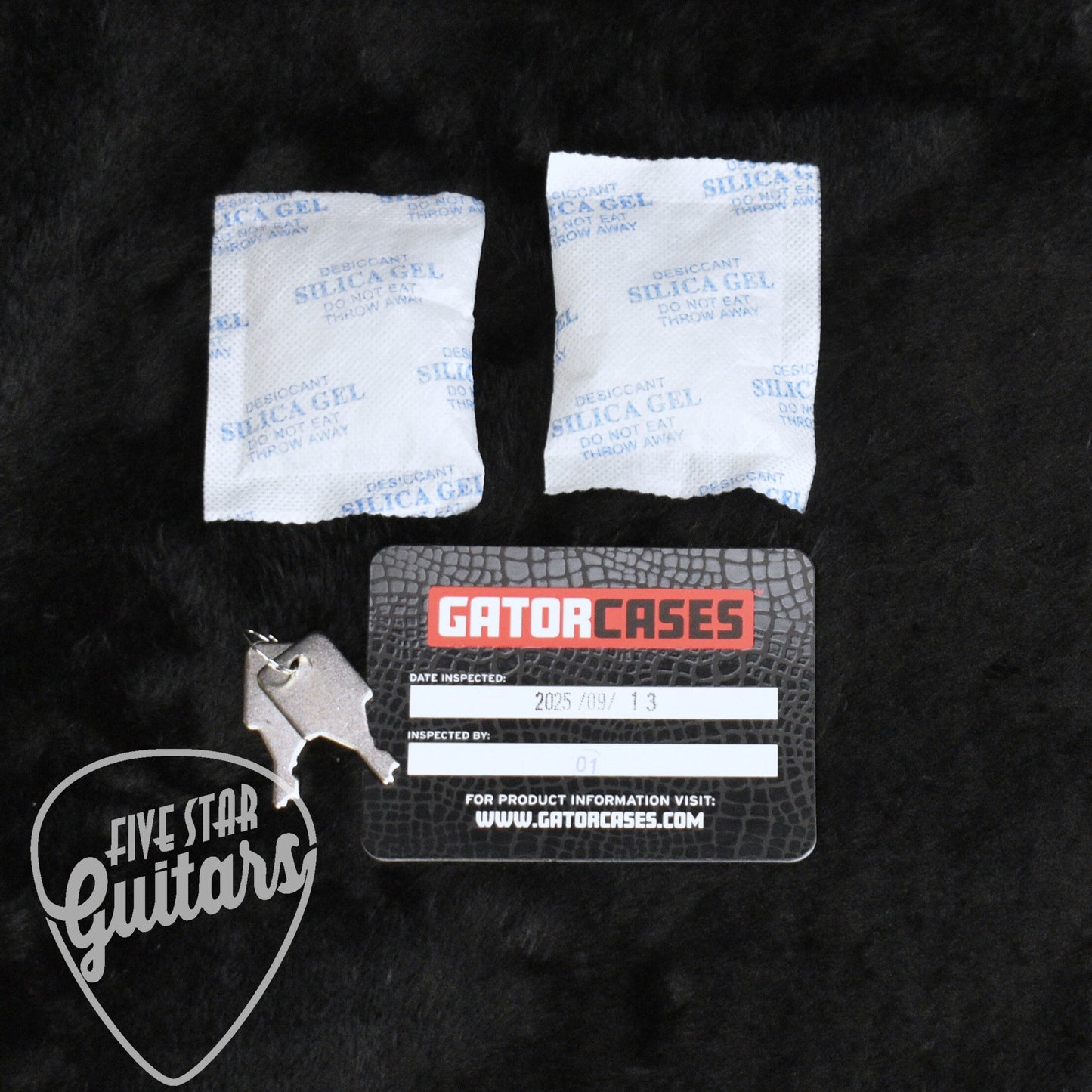 Gator Extreme Guitar Wood Case