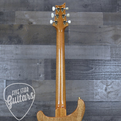 PRS Modern Eagle V 10 Top - Sprayer's Choice with Hardshell Case