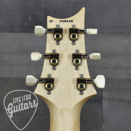 Paul Reed Smith CE 24 Special - Sprayer's Choice with Gigbag