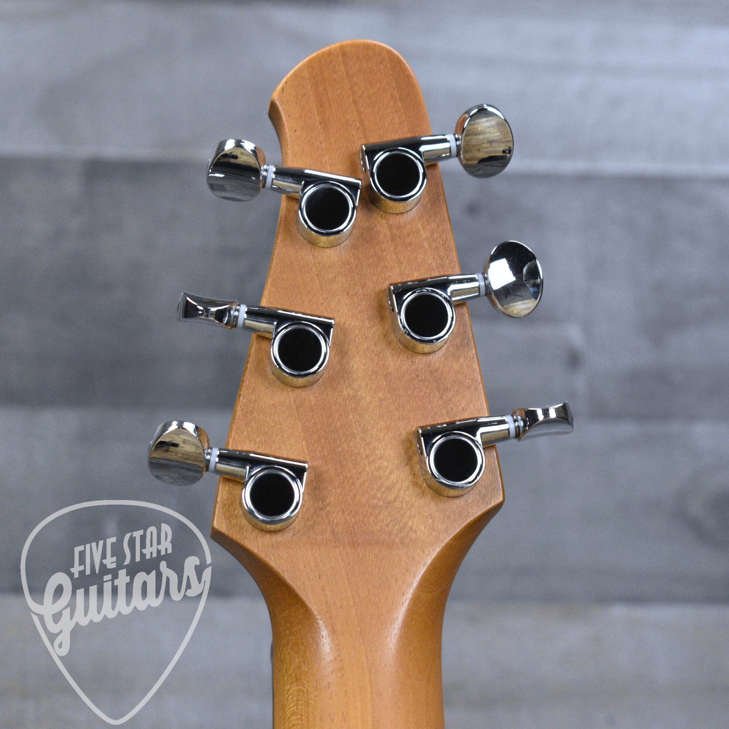 Powers Electric A-Type CamTail PF42 - Chroma Borealis with with Custom Leather Soft Shell Case