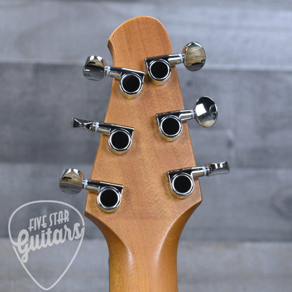 Powers Electric A-Type CamTail PF42 - Chroma Borealis with with Custom Leather Soft Shell Case