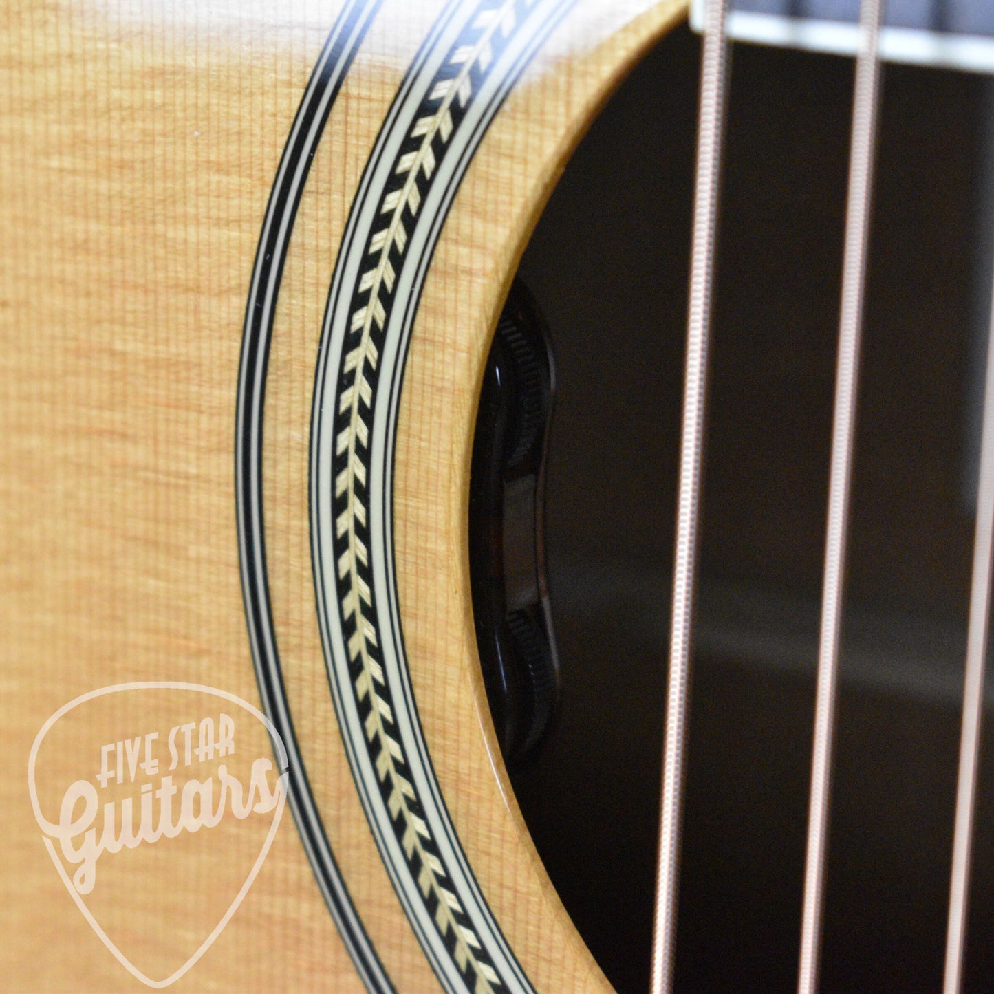 Pre-Owned Alvarez MF610EOM with Hard Shell Case
