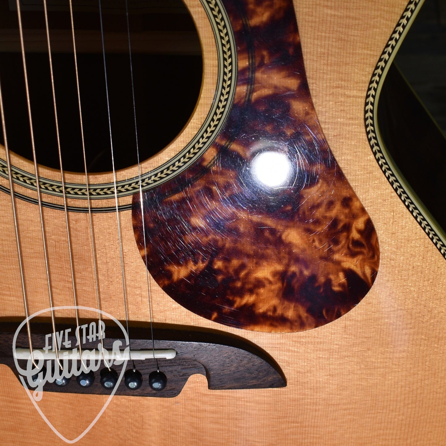 Pre-Owned Alvarez MF610EOM with Hard Shell Case