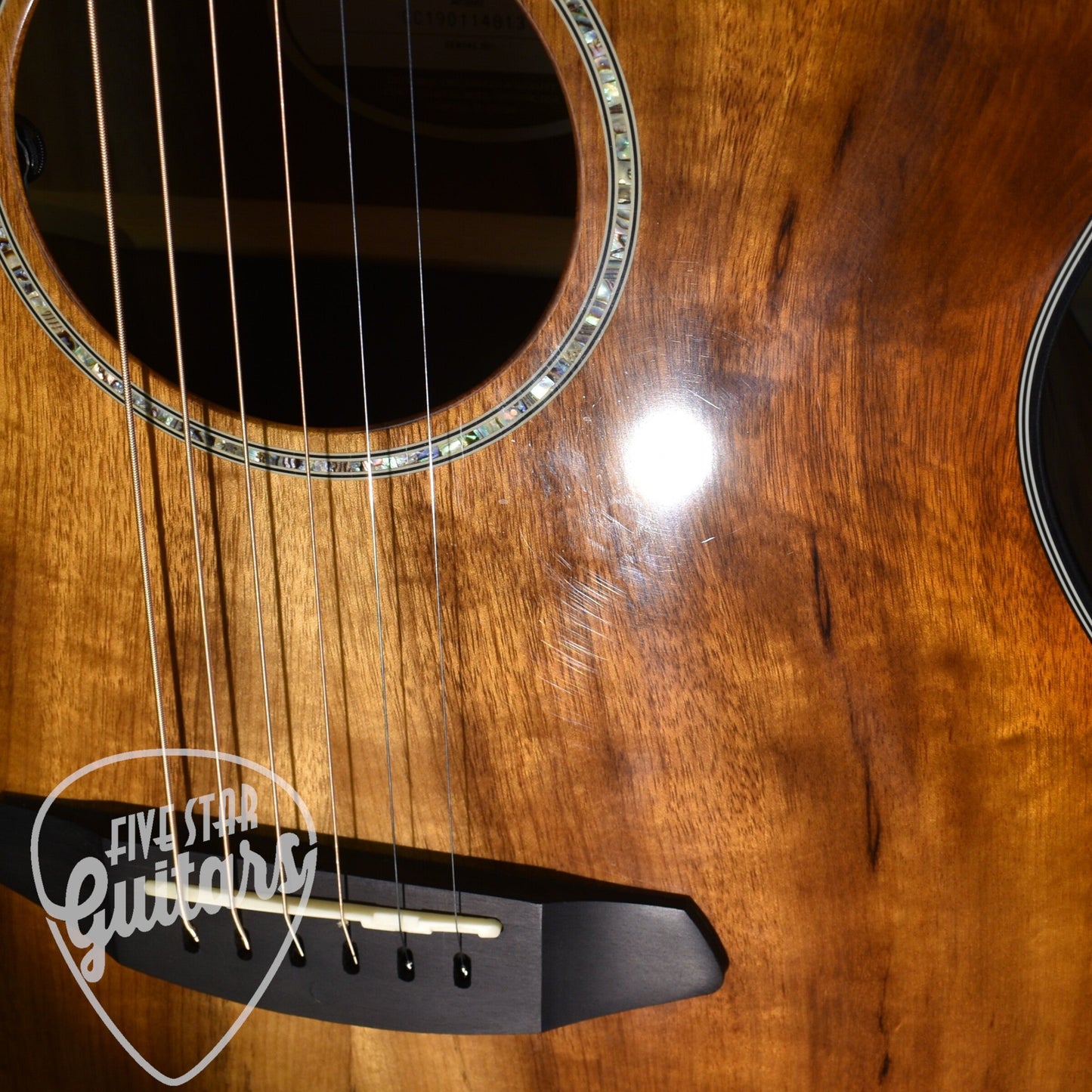 Pre-Owned Breedlove Pursuit EX Concerto CE MMP - B Stock