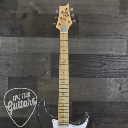 Pre-Owned Paul Reed Smith SE Silver Sky  - Overland Gray with Gigbag