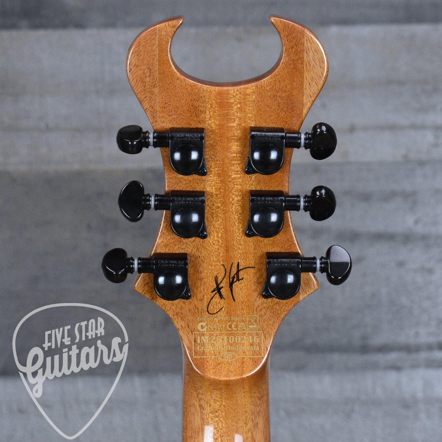 Schecter Synyster Standard Plus - Gloss Natural
