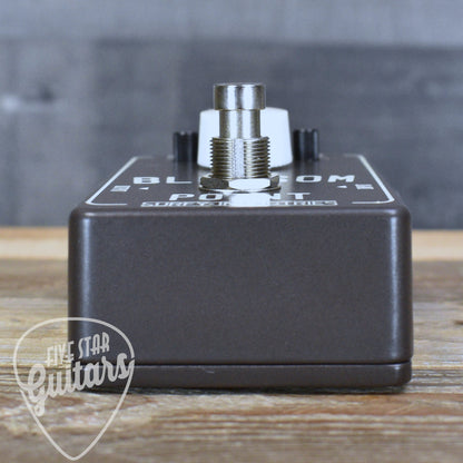 SurfyBear Blossom Point Pedal