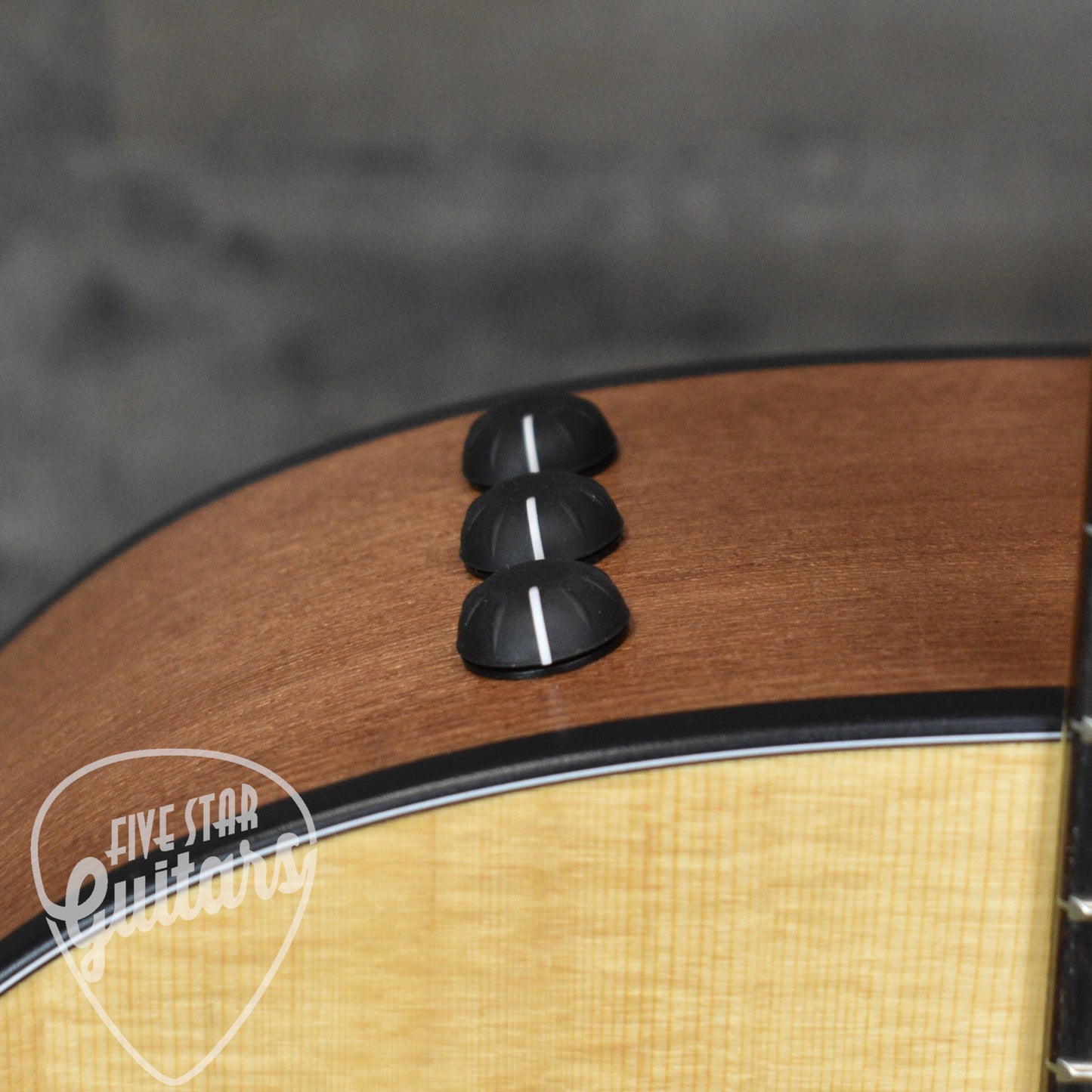 Taylor 114ce - Sapele with Gig Bag