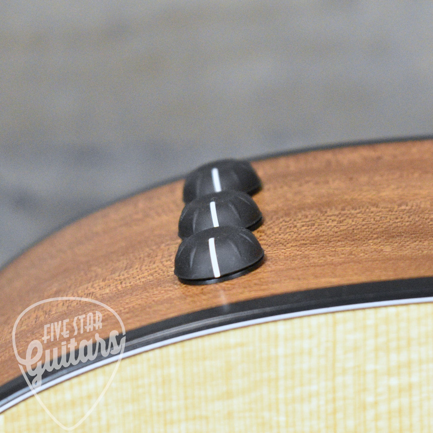 Taylor 114ce - Sapele with Gig Bag