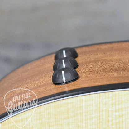 Taylor 114ce - Sapele with Gig Bag