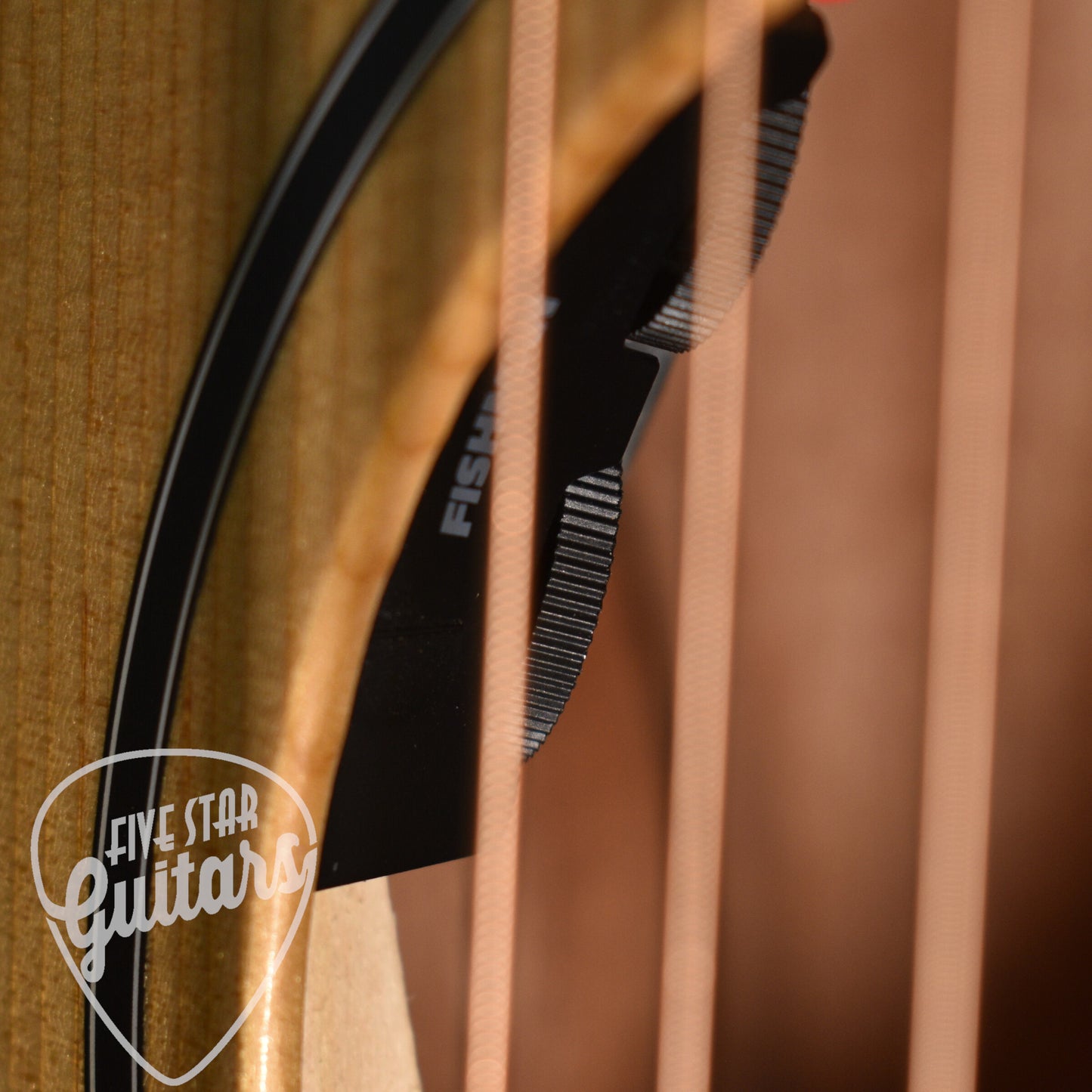 Taylor 14ce - Natural with Gigbag