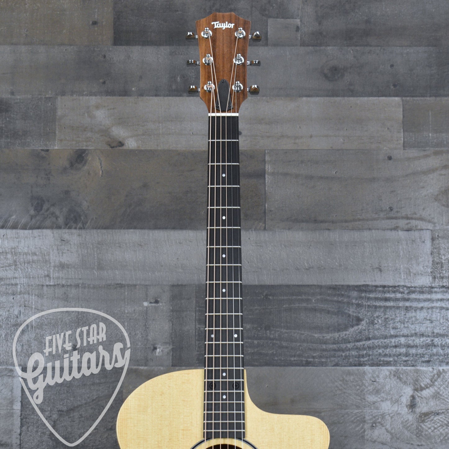 Taylor 14ce - Natural with Gigbag