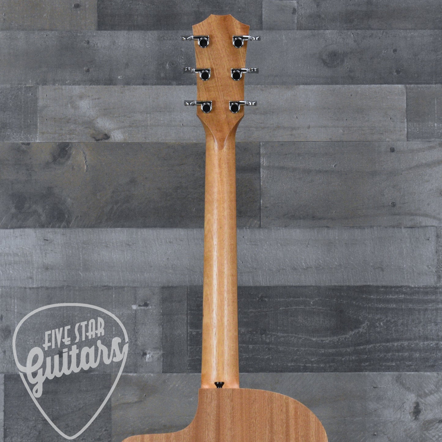 Taylor 14ce - Natural with Gigbag