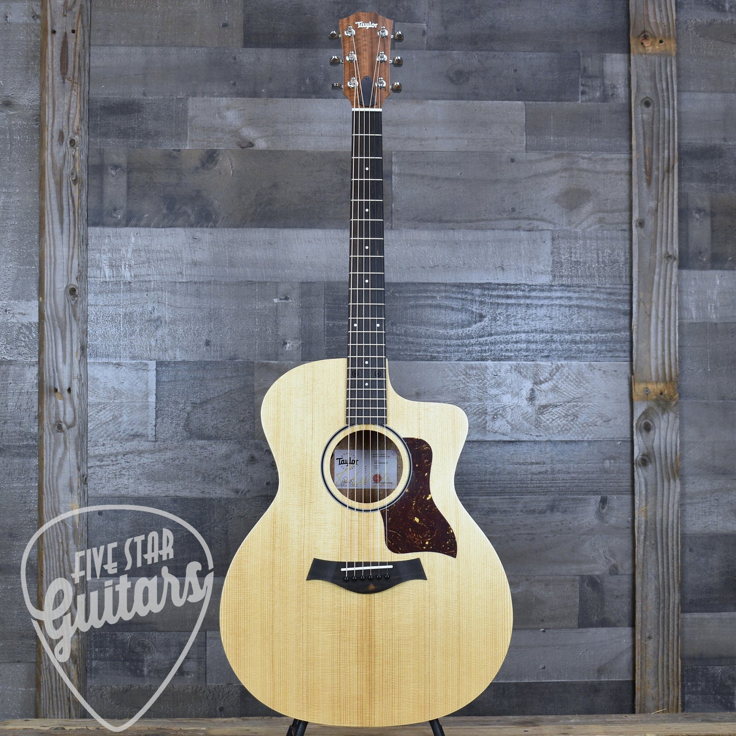 Taylor 14ce - Natural with Gigbag