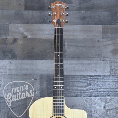 Taylor 14ce - Natural with Gigbag
