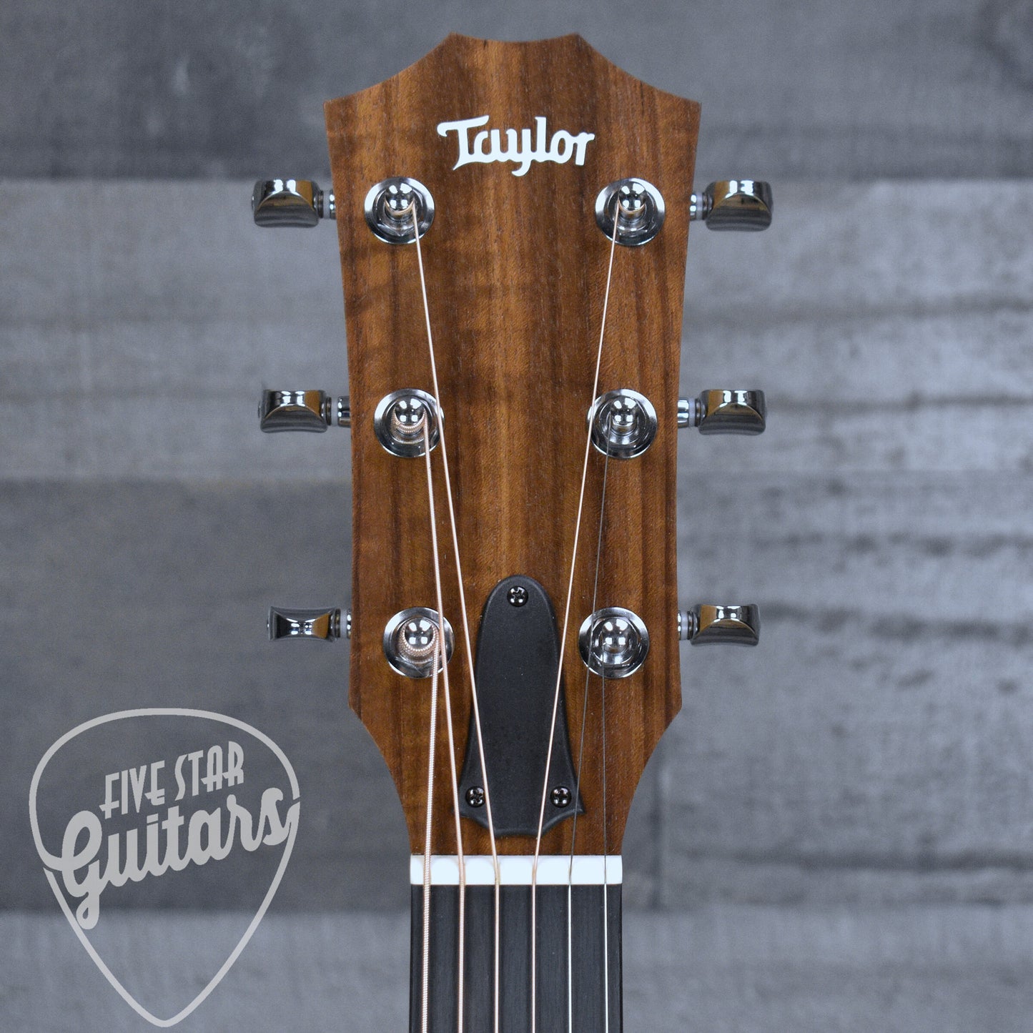 Taylor 14ce - Natural with Gigbag