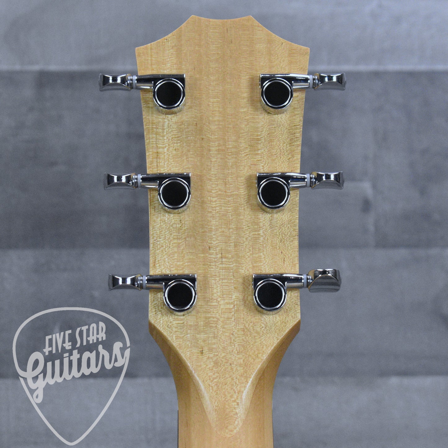 Taylor 14ce - Natural with Gigbag