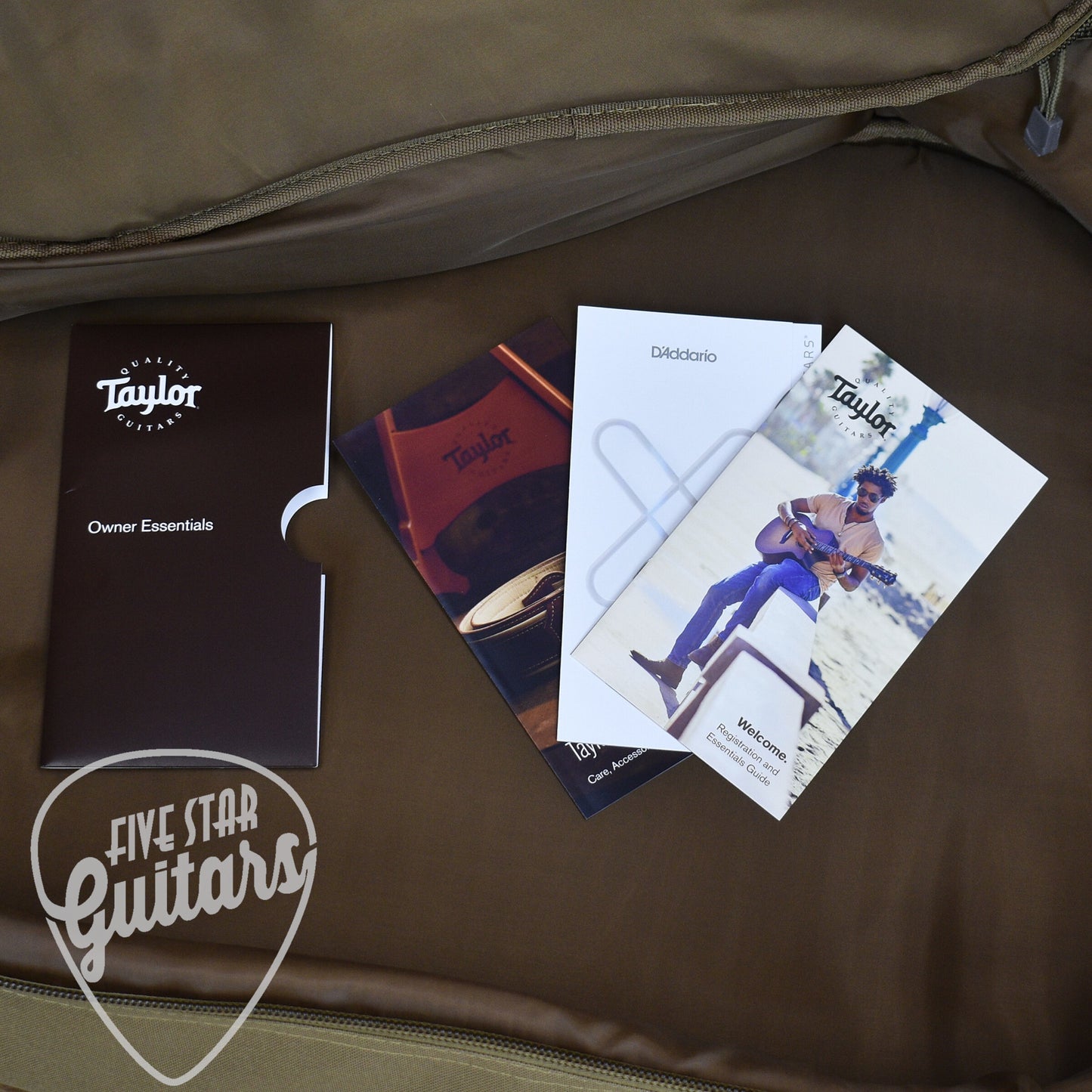 Taylor 14ce - Natural with Gigbag