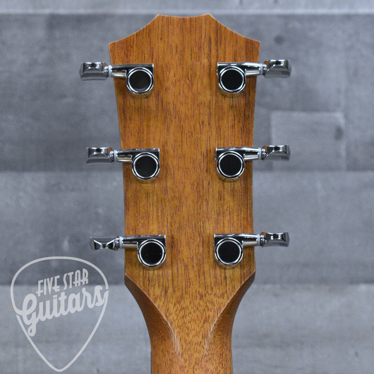 Taylor 14ce - Natural with Gigbag