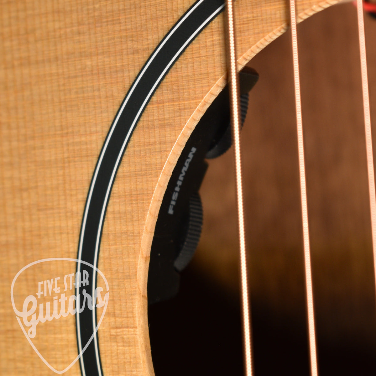 Taylor 14ce - Natural with Gigbag