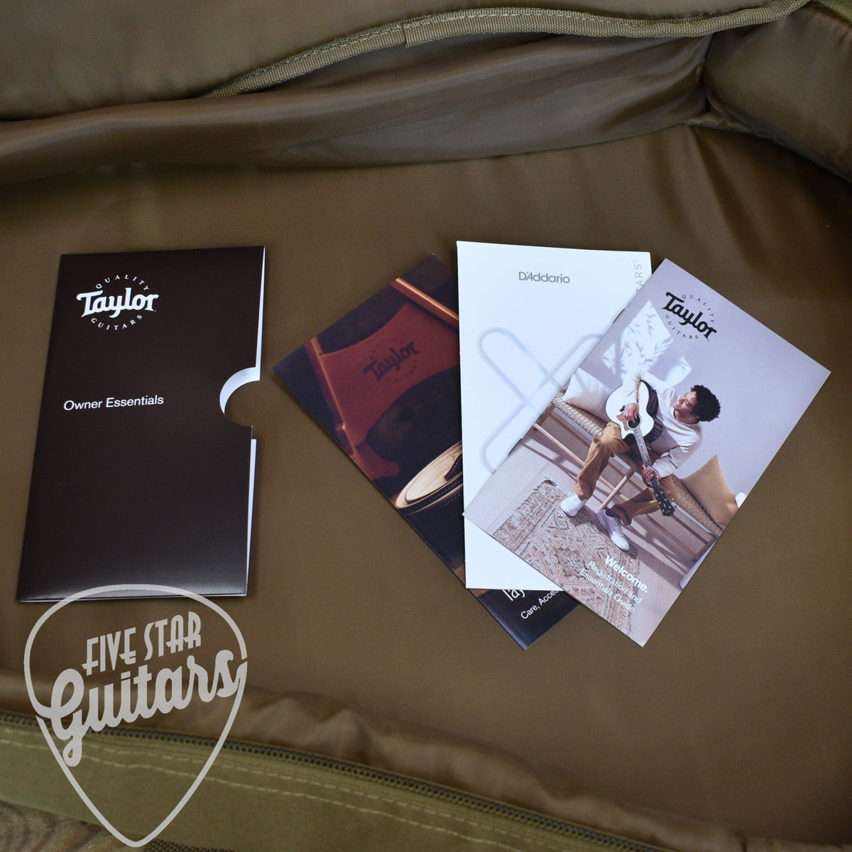 Taylor 14ce - Natural with Gigbag
