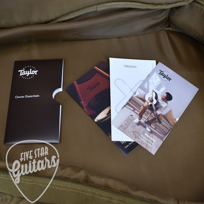 Taylor 14ce - Natural with Gigbag