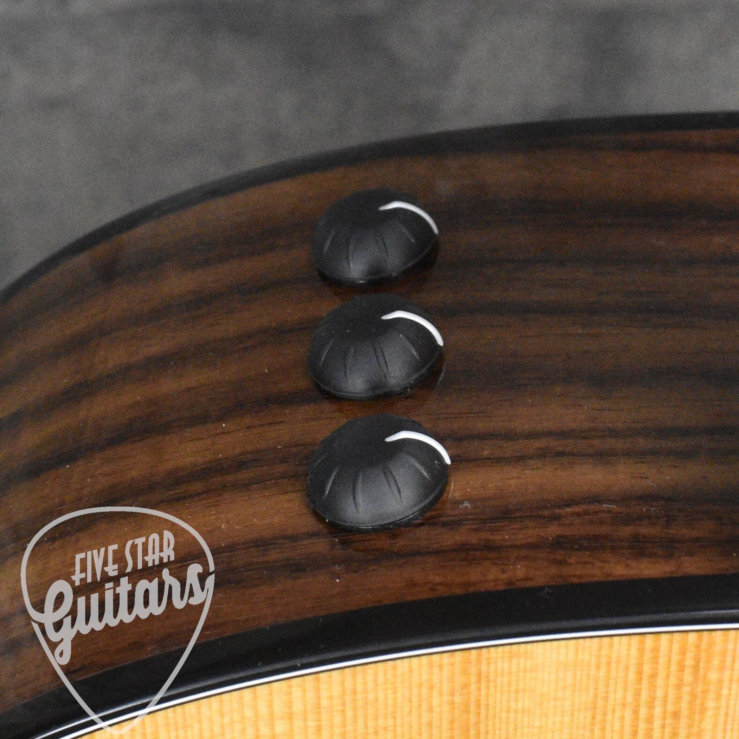 Taylor 214ce Plus with Aerocase